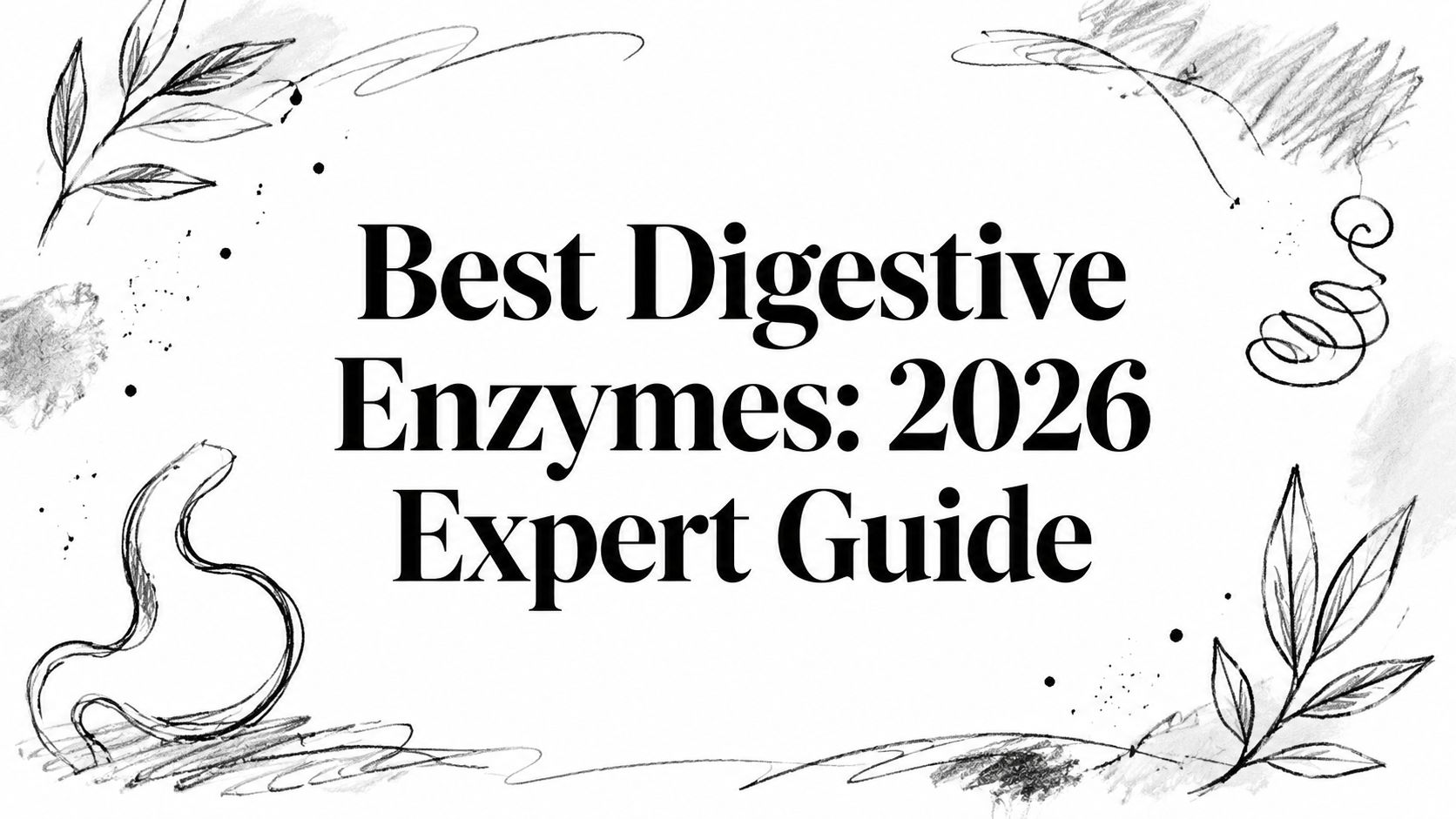 Best Digestive Enzymes: 2026 Expert Guide