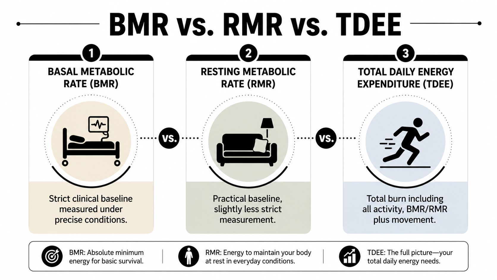 A comparison chart explaining the differences between basal metabolic rate, resting metabolic rate, and total daily energy expenditure.