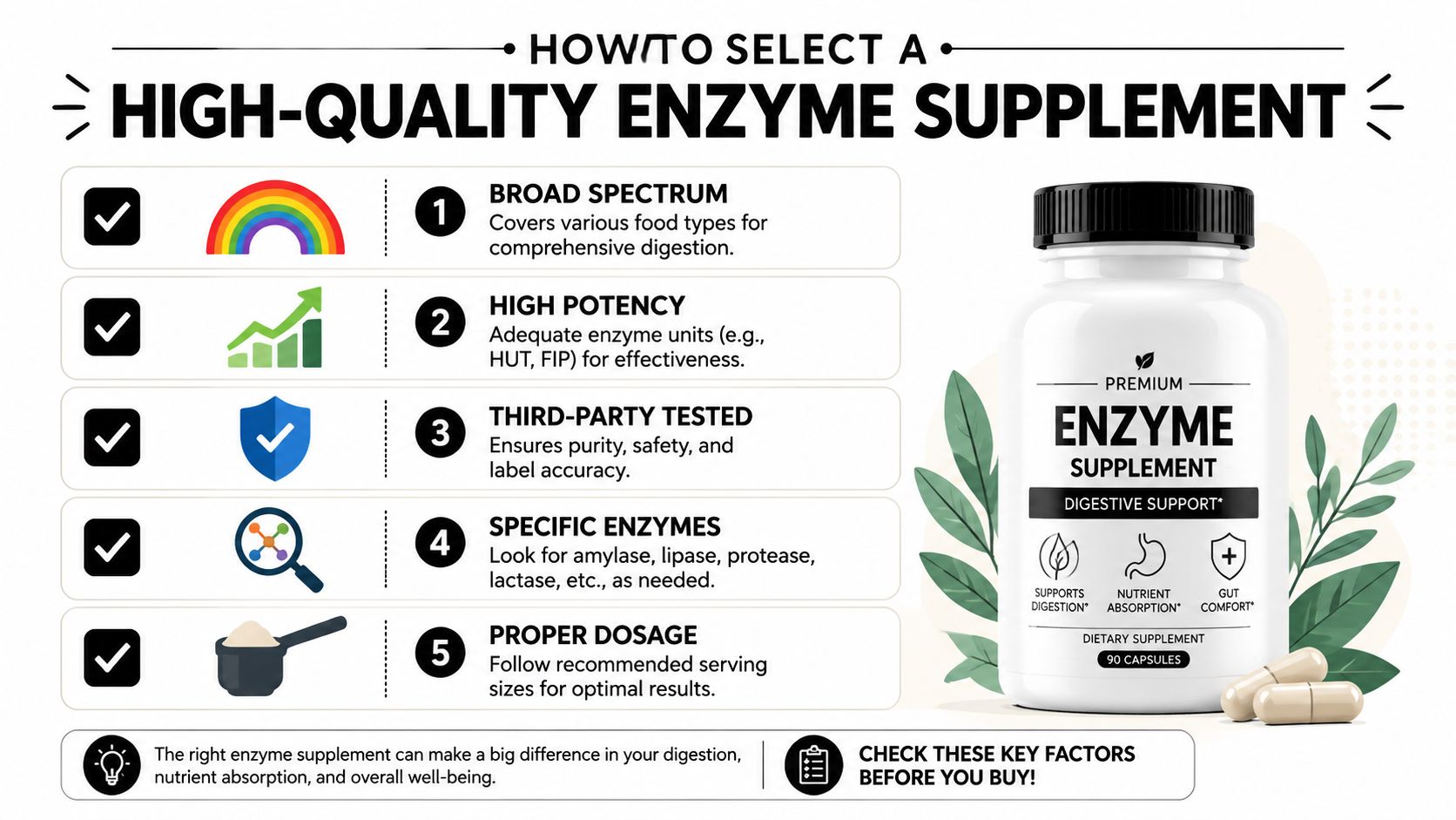 An infographic detailing five essential factors to consider when choosing a high-quality digestive enzyme supplement.