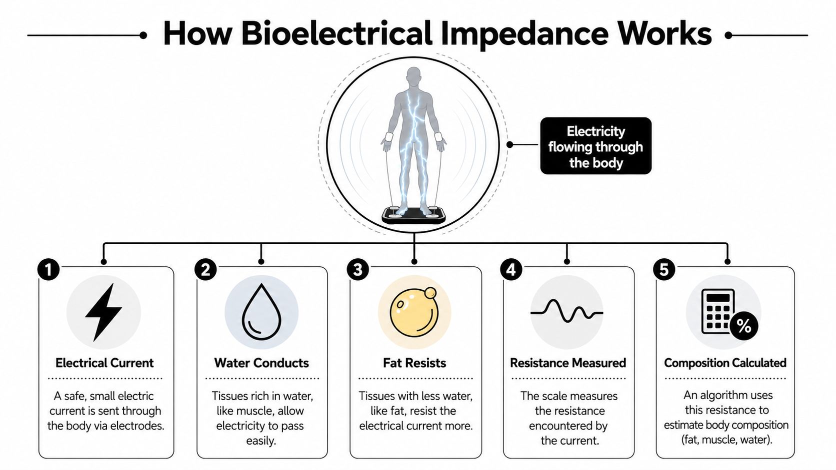 A diagram illustrating the five steps of how bioelectrical impedance scales measure human body composition.