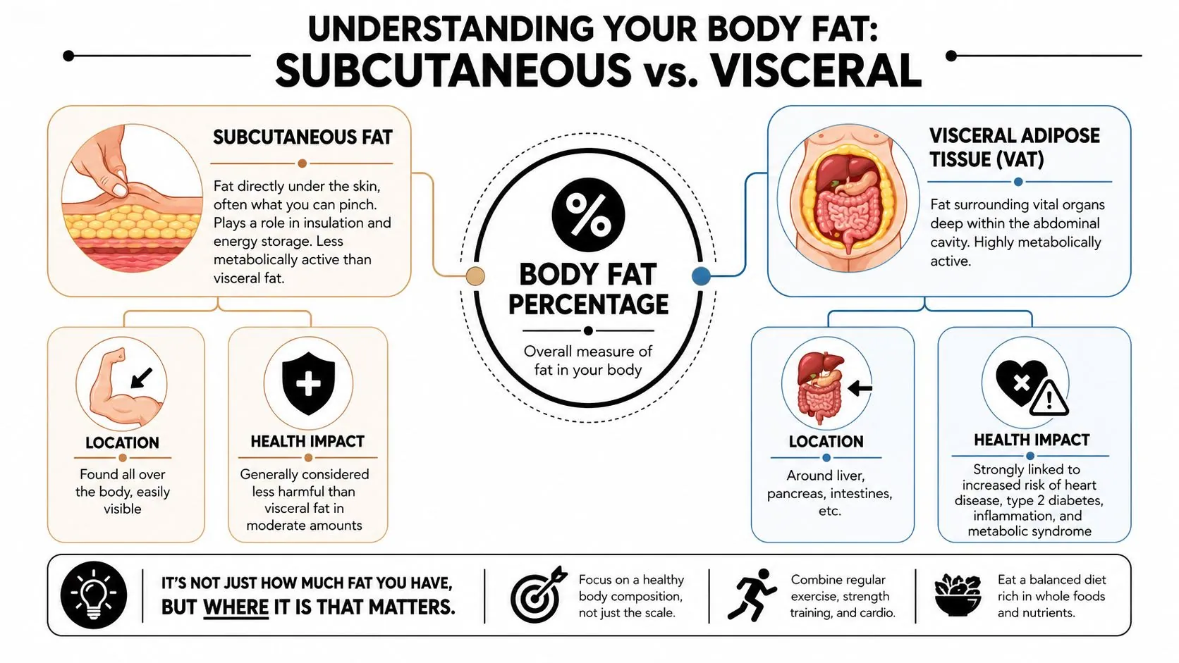 An infographic comparing subcutaneous fat and visceral fat, highlighting their locations and respective health impacts.
