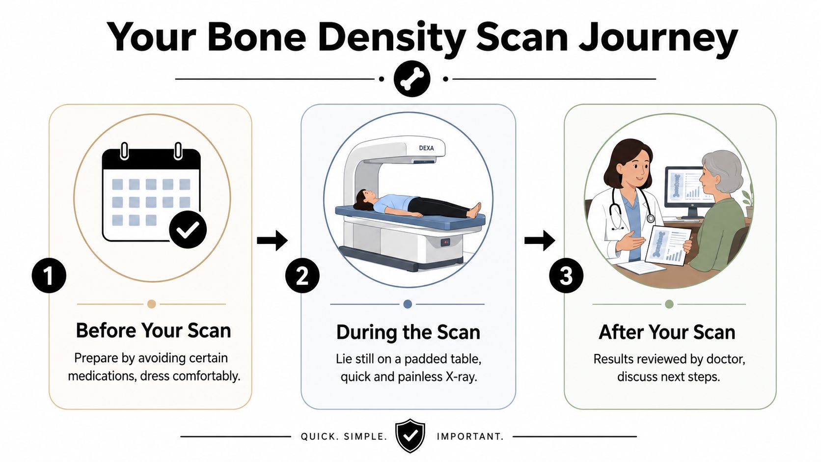 An infographic showing the three steps of a bone density scan procedure, from preparation to doctor consultation.
