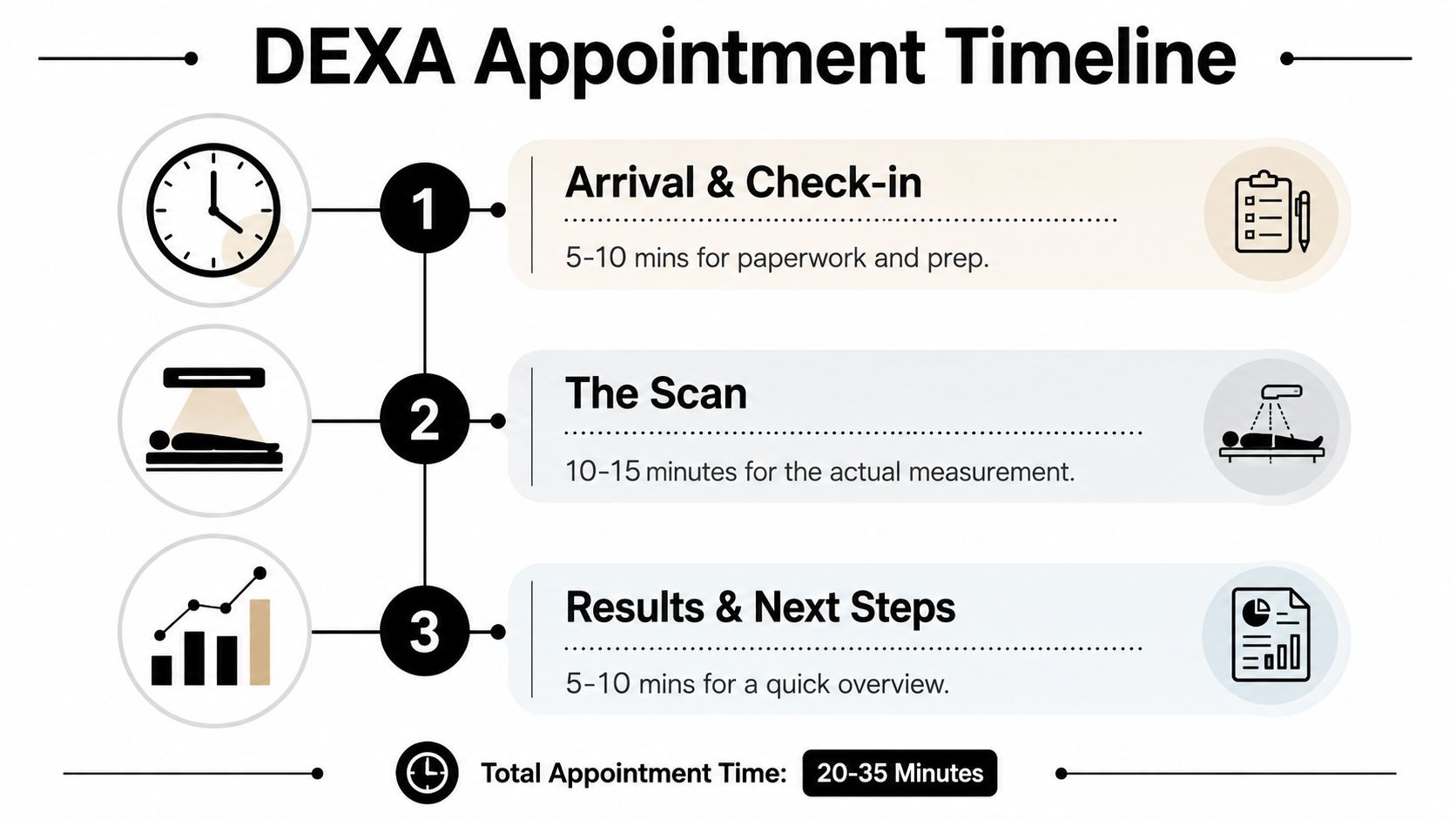 A simplified timeline chart illustrating the three steps of a DEXA scan appointment and total duration.
