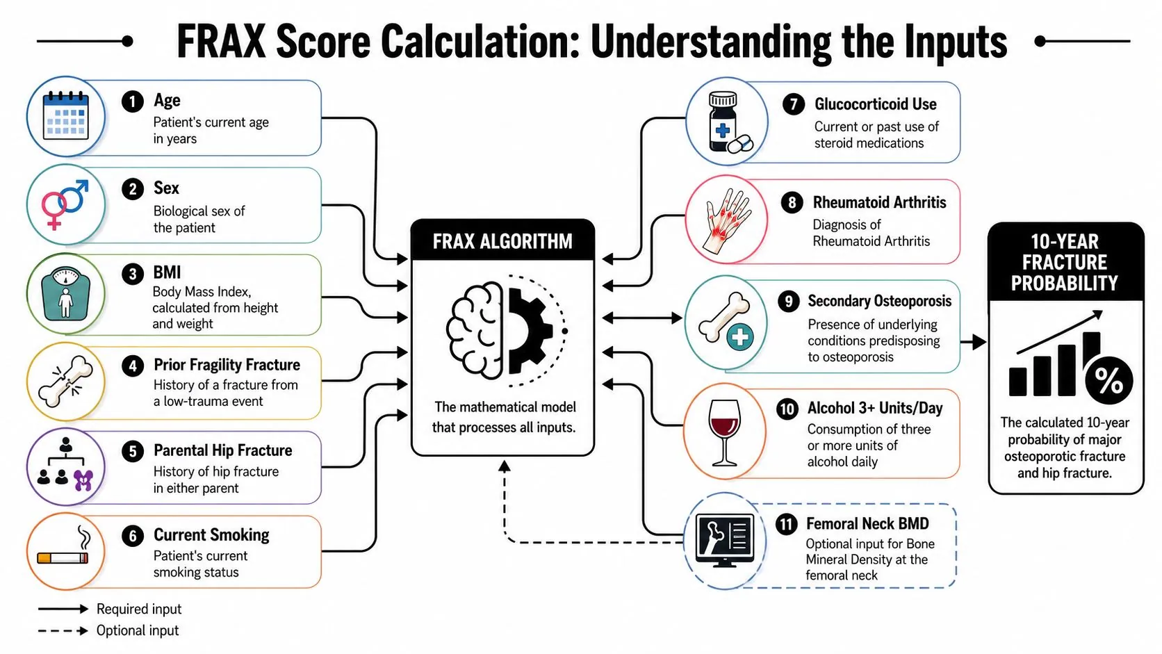 A diagram illustrating the eleven clinical inputs and risk factors used in the FRAX algorithm.