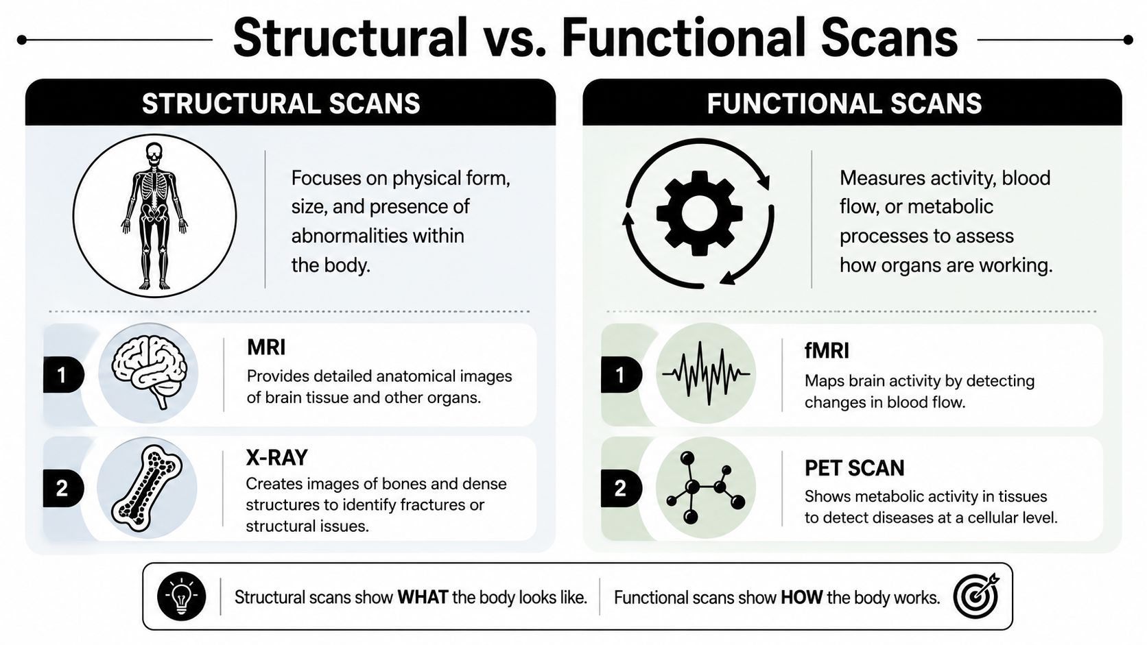 A comparison chart explaining the differences between structural and functional medical scans like MRI and PET.