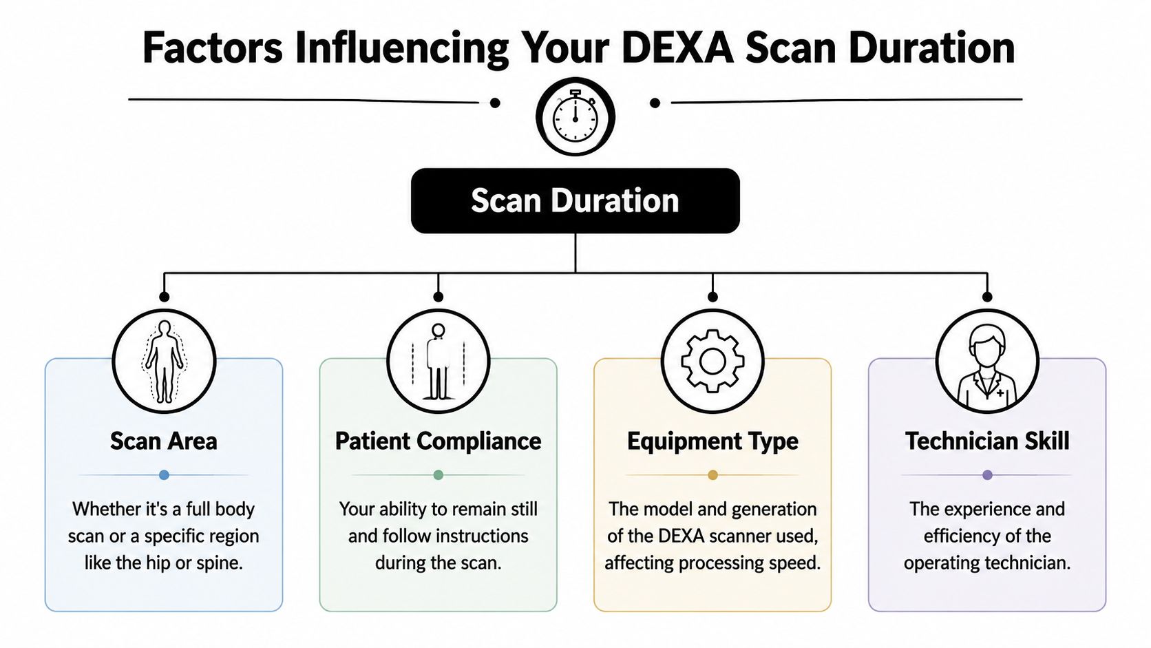 An infographic showing four key factors that influence the total duration of a DEXA scan procedure.