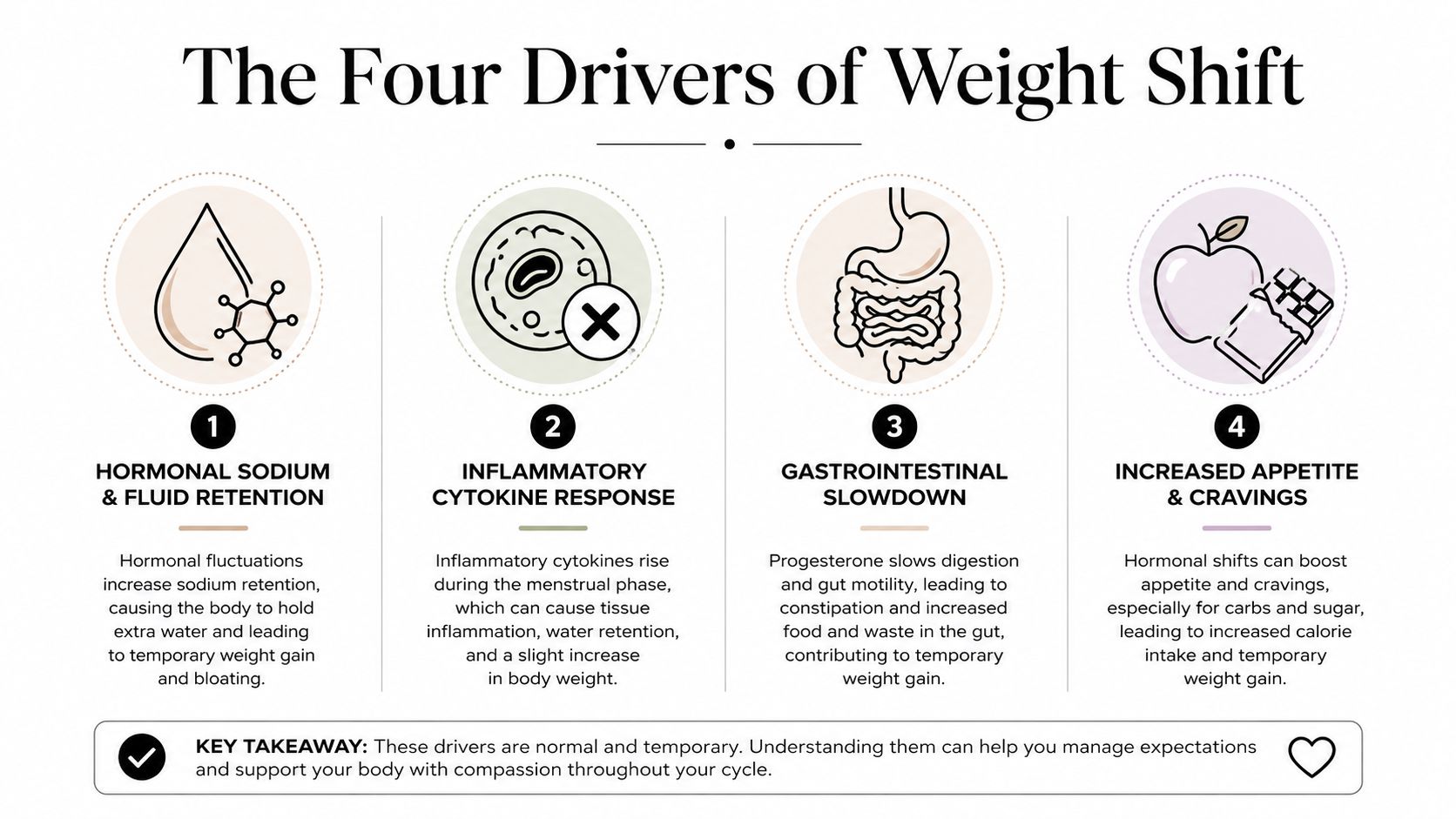 An infographic titled The Four Drivers of Weight Shift explaining how hormones impact weight during a menstrual cycle.