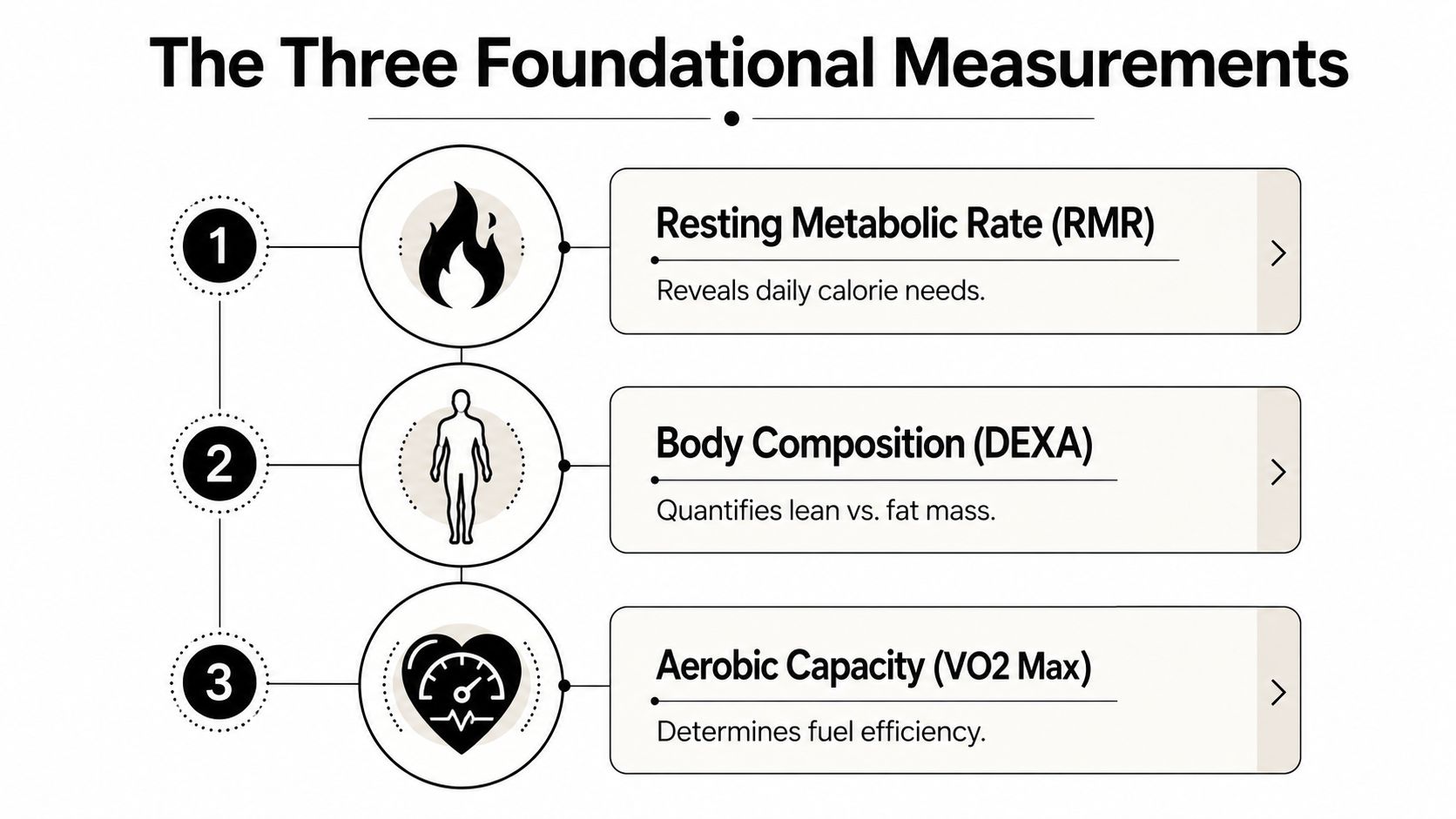 An infographic titled The Three Foundational Measurements displaying icons and text for RMR, DEXA, and VO2 Max.