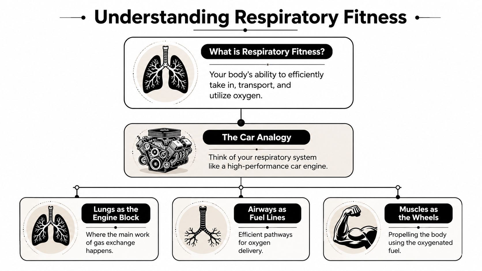 An infographic explaining respiratory fitness using a car engine analogy to describe how lungs and muscles function.