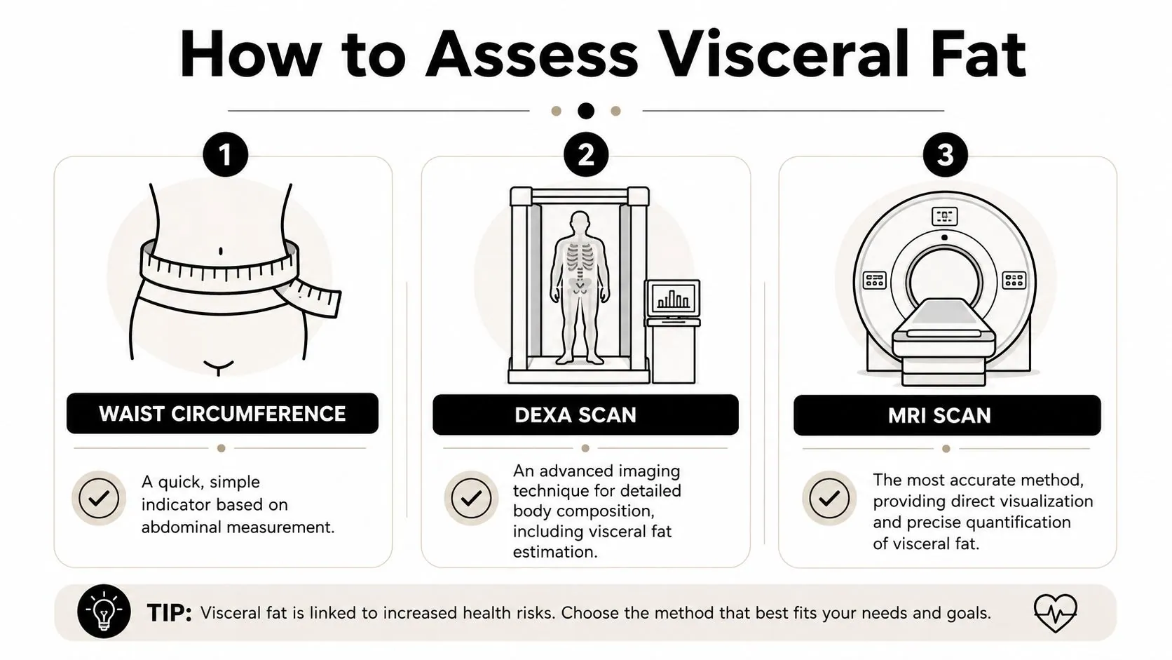An infographic showing three medical methods to assess visceral fat: waist circumference, DEXA scan, and MRI scan.