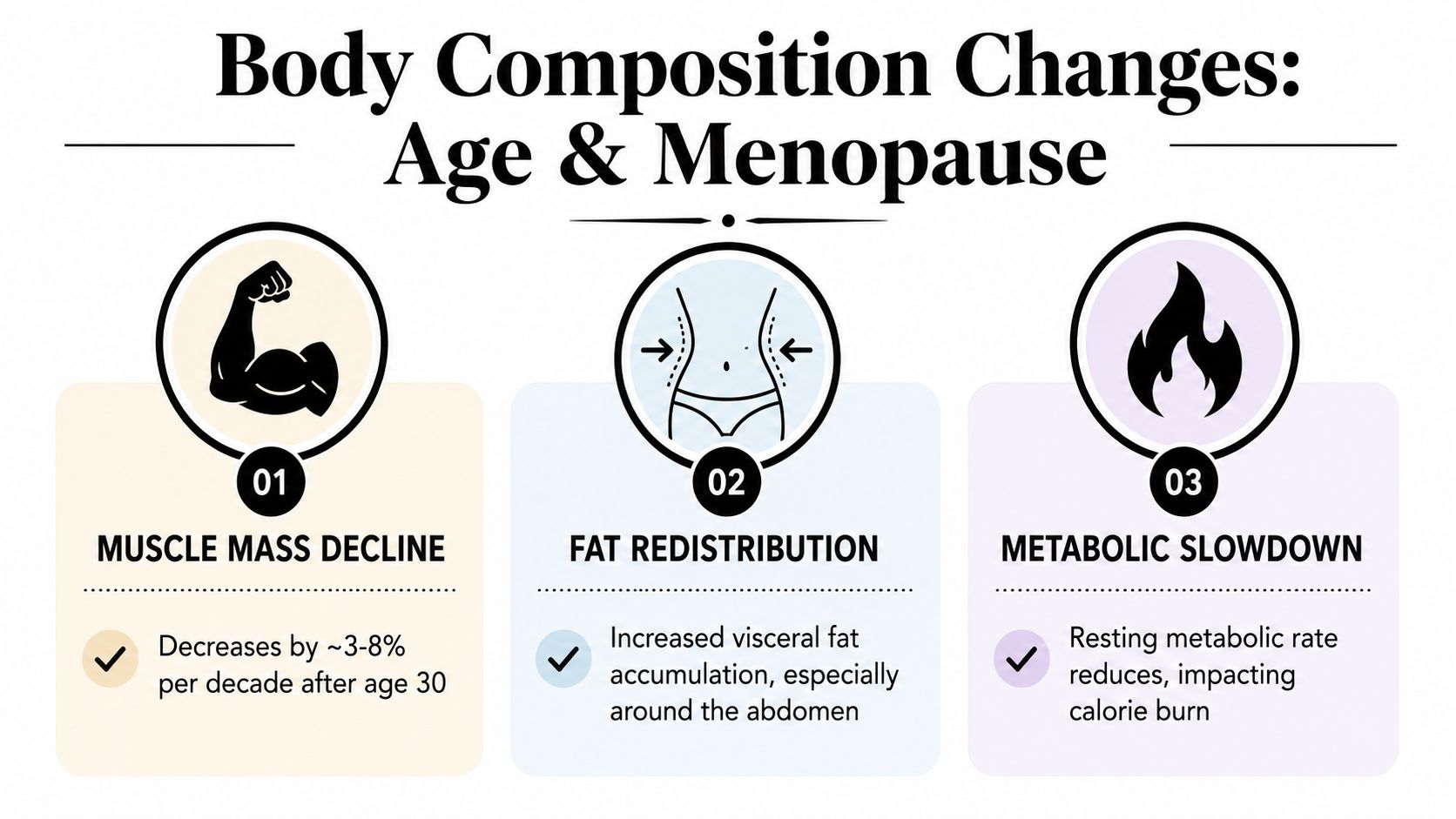 An infographic detailing body composition changes related to ageing and menopause including muscle, fat, and metabolism.