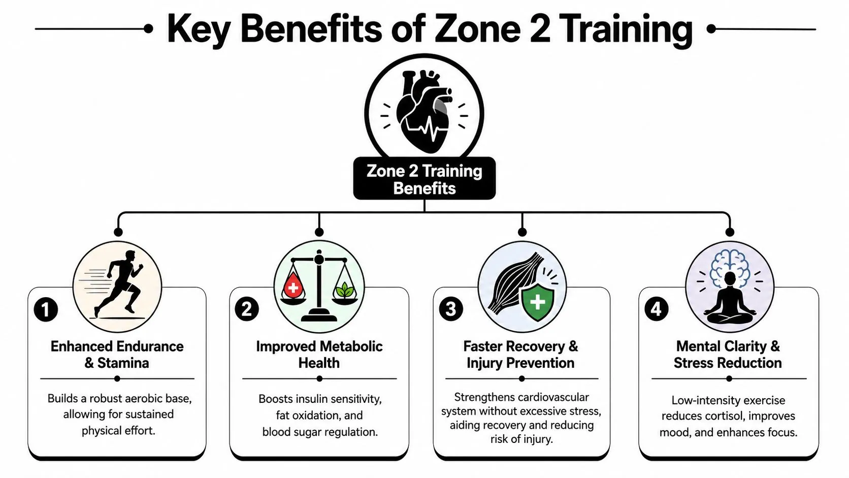 An infographic illustrating four key health benefits of zone 2 training with descriptive icons and text.