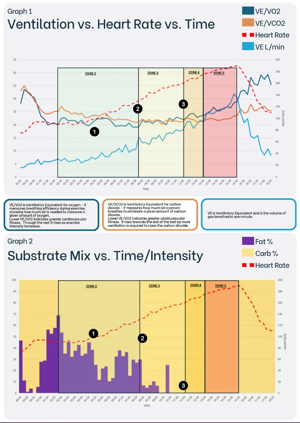Example of the graphs in a TELOMYX VO2 Max Report