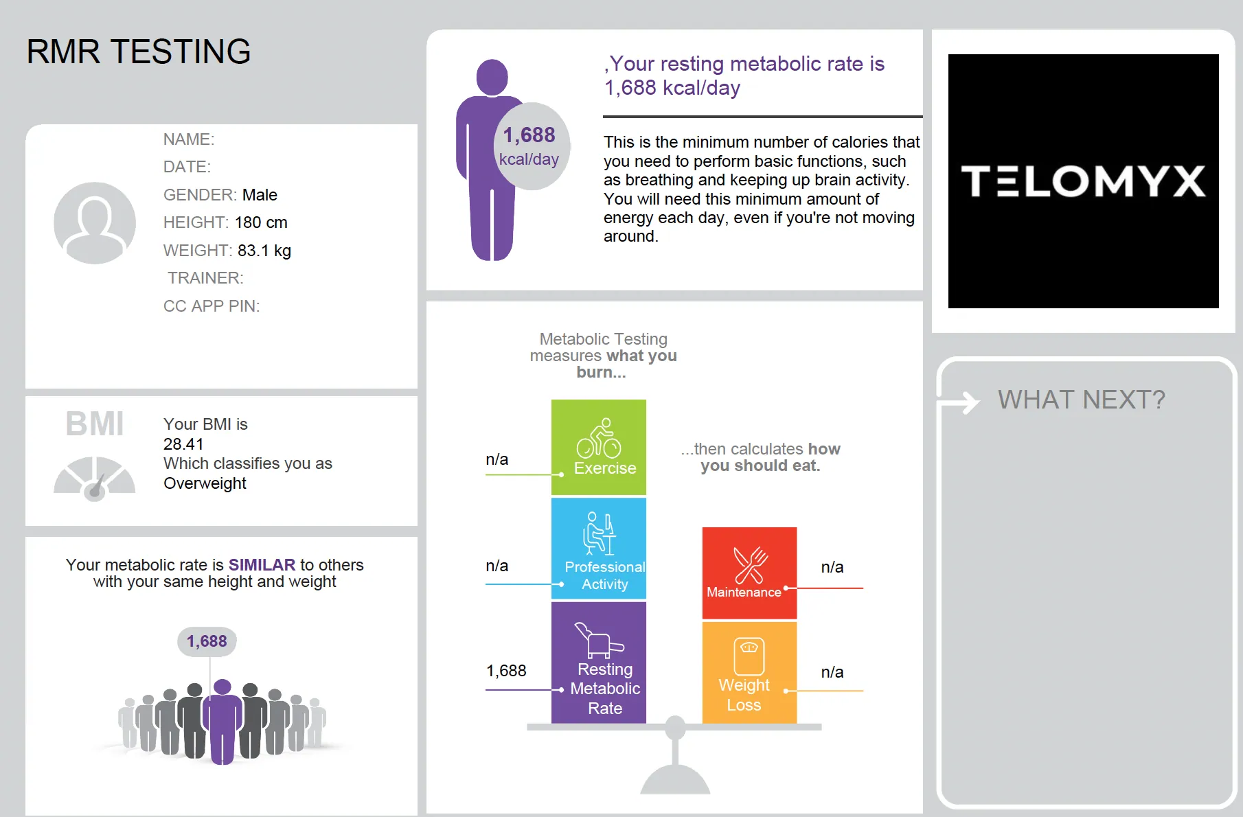 The Key Metrics dashboard section of the Telomyx RMR report