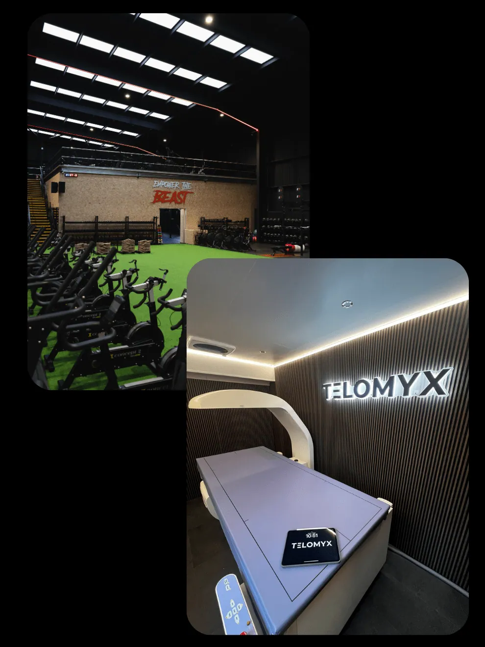 Whole Body Comp DEXA Scan & Resting Metabolic Rate Test (RMR) - Telomyx